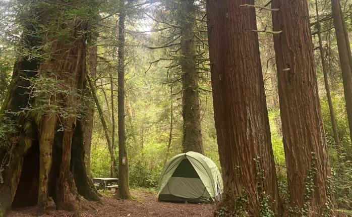 dispersed camping California dispersed camping California