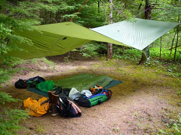 Best Rain Shelter for Camping: Your Ultimate Guide to Staying Dry
