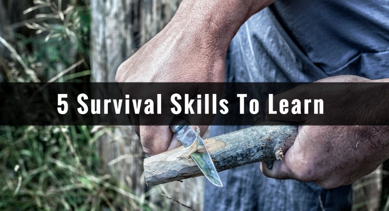 What Are the 5 Basic Survival Skills? A Practical Guide for Everyone