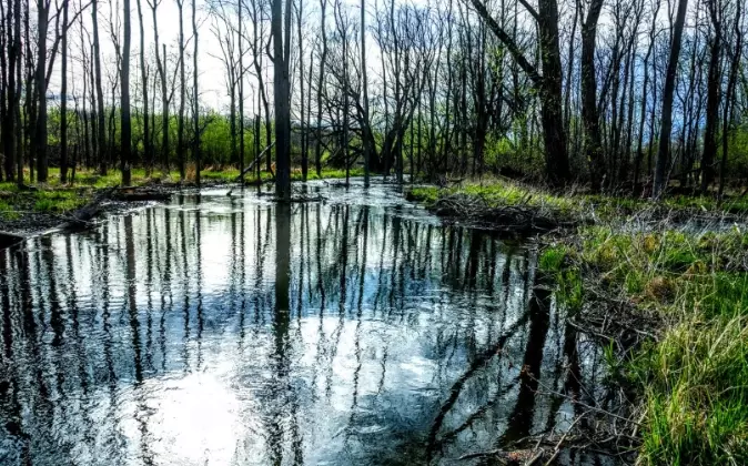 The Complete Guide to Honeoye Lake Camping: Sites, Tips & Insider Secrets