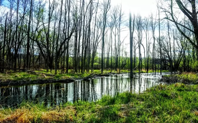 camping at Honeoye Lake camping at Honeoye Lake
