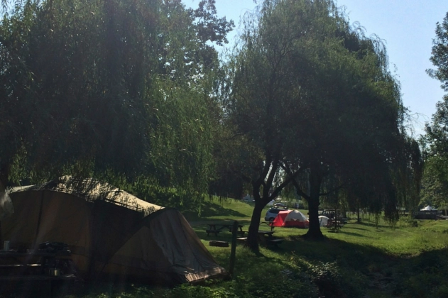 social benefits of camping