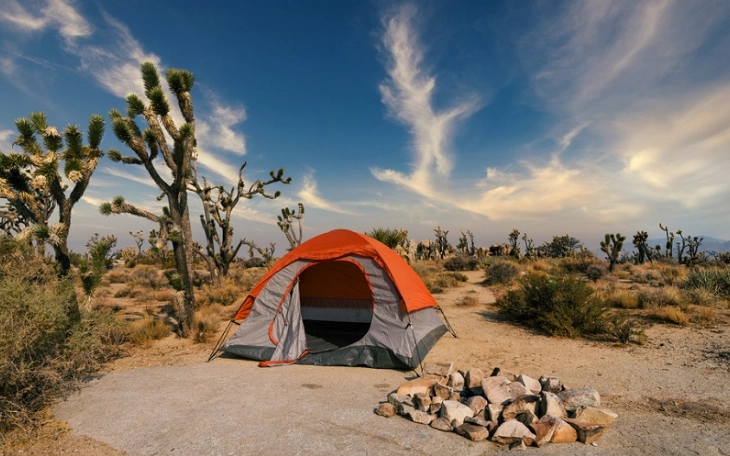 where to camp in desert