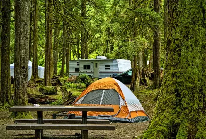 family camping in spring
