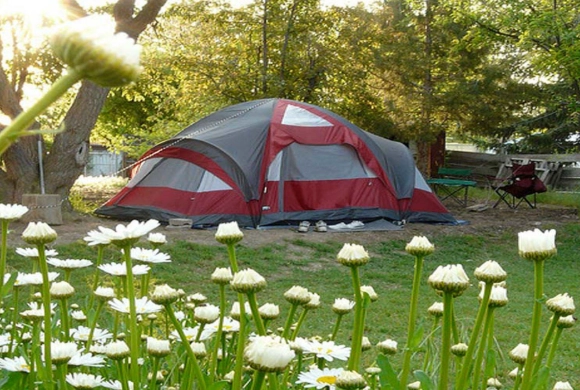 Ultimate Guide to Spring Camping: Gear, Tips & Top Destinations