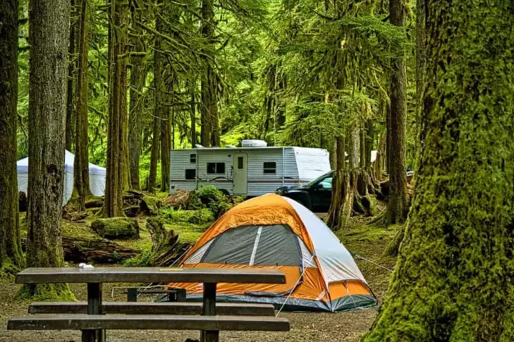 camping trends