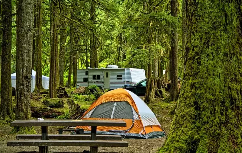 national park camping tips