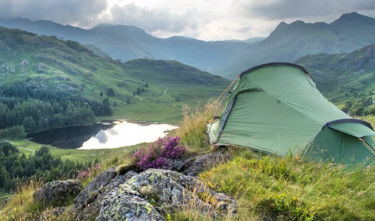 Wildlife Camping Guide: How to Plan, Experience & Respect Nature