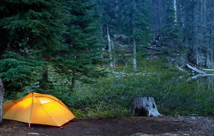 safety for camping with animals