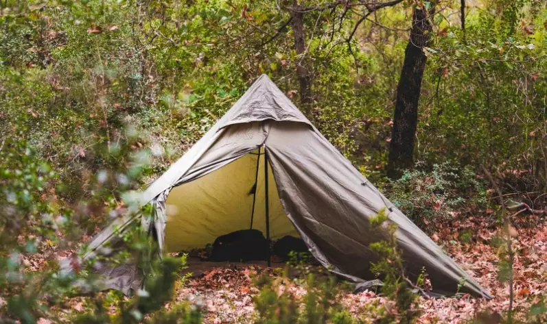 wilderness survival skills