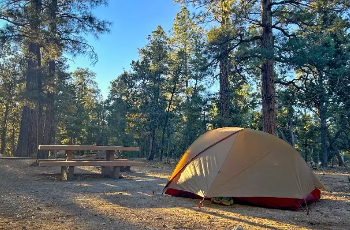 camp fee explained camp fee explained