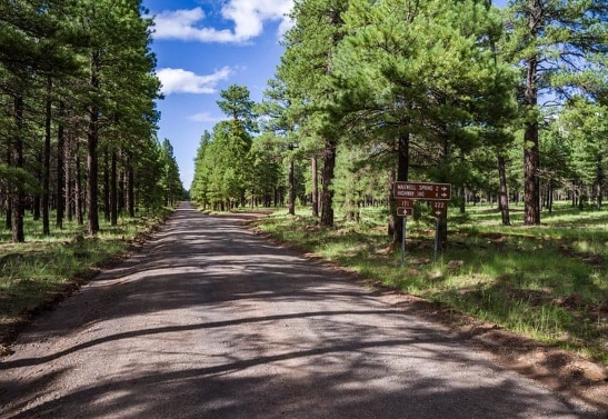 Coconino National Forest dispersed camping