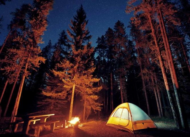best forest camping gear