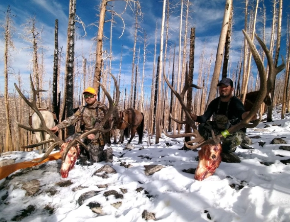 big game hunting camp big game hunting camp