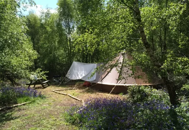 eco friendly camping gear