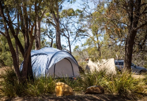 The Ultimate Guide to Free Camping: Where, How, and Why