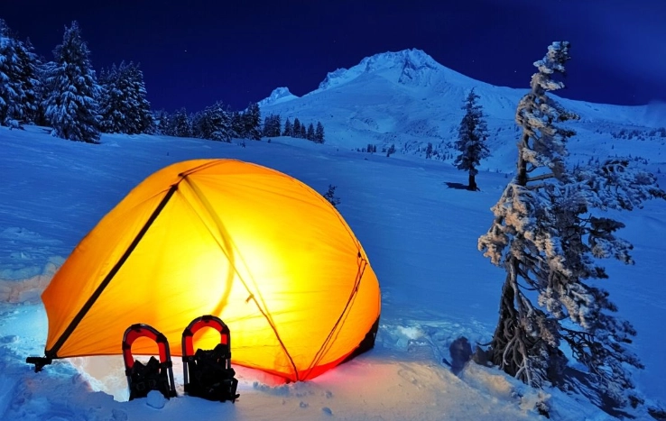 Best Winter Camping Destinations in the US for Stargazing & Solitude