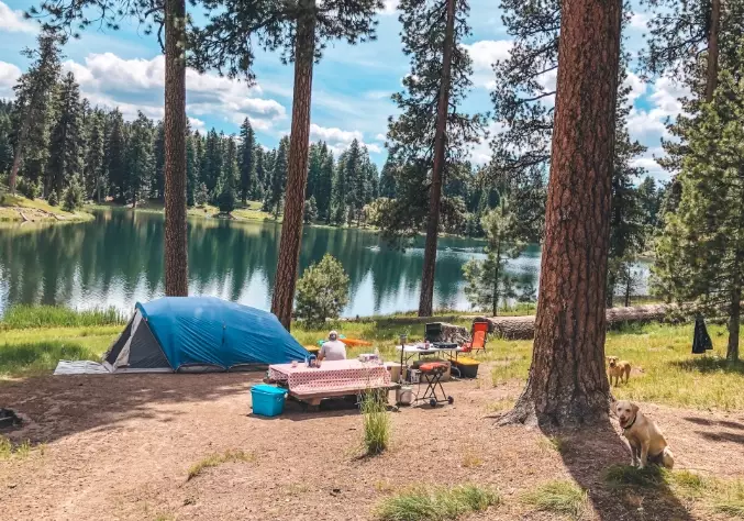 20 Creative Summer Camping Ideas for Families and Groups
