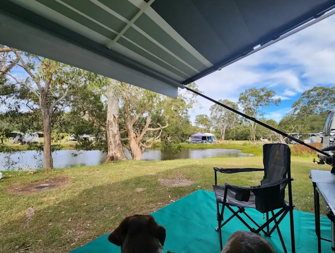 dog friendly camping