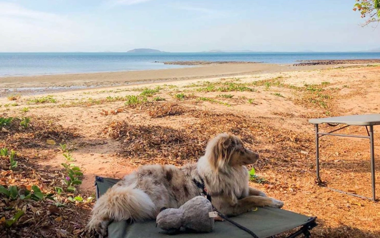 pet friendly campgrounds