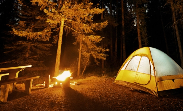 forest camping guide
