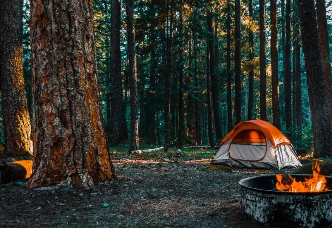 woodland camping essentials
