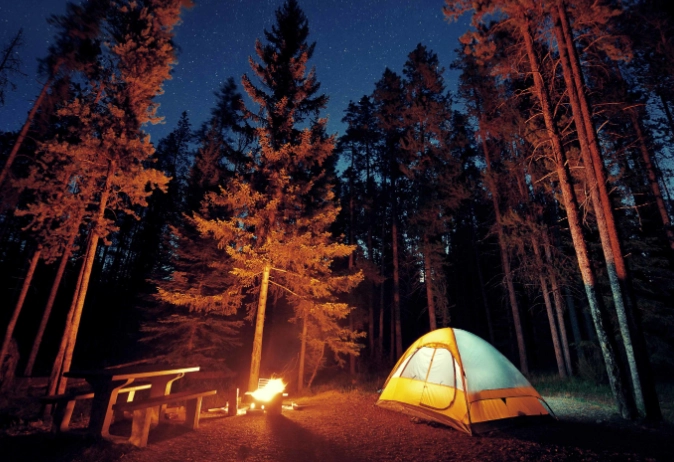 woodland camping essentials