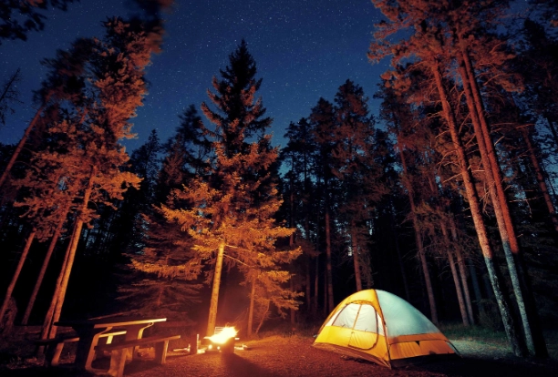 camping in the woods tips