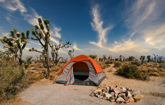 best desert camping spots