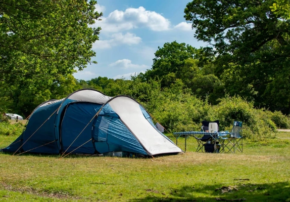 forest camping guide