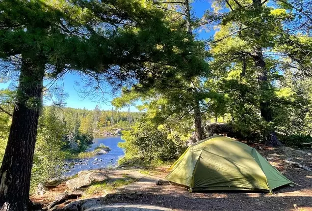 best forest campsites