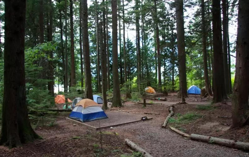 The Ultimate Guide to Camping in Provincial Parks: Tips, Parks & Secrets