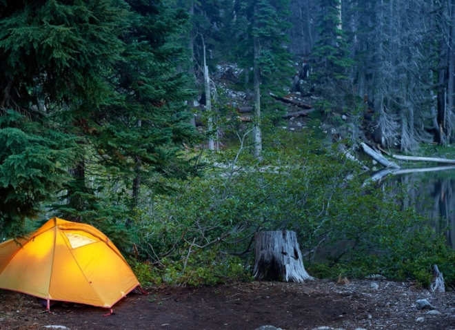 animal sightings camping