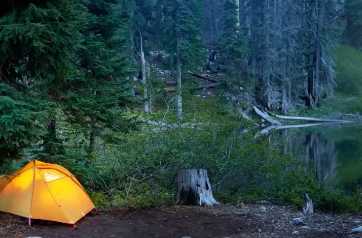 best wildlife reserves for camping