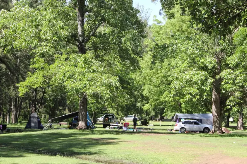 camping safety with wildlife