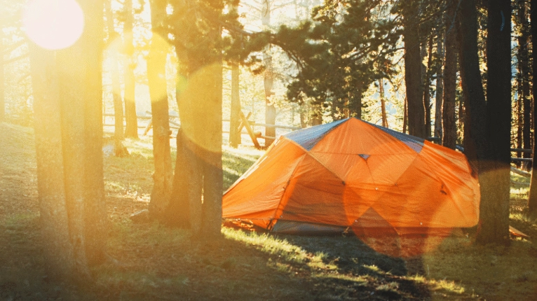 Beat the Heat: Your Ultimate Guide to Safe and Comfortable Summer Camping