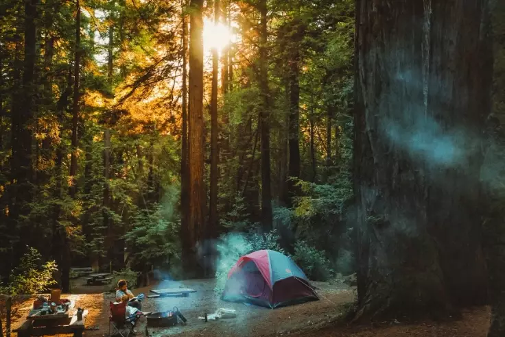 Ultimate Camping Photography Tips: Capture Nature Like a Pro