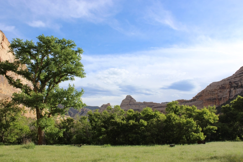 campgrounds near national parks