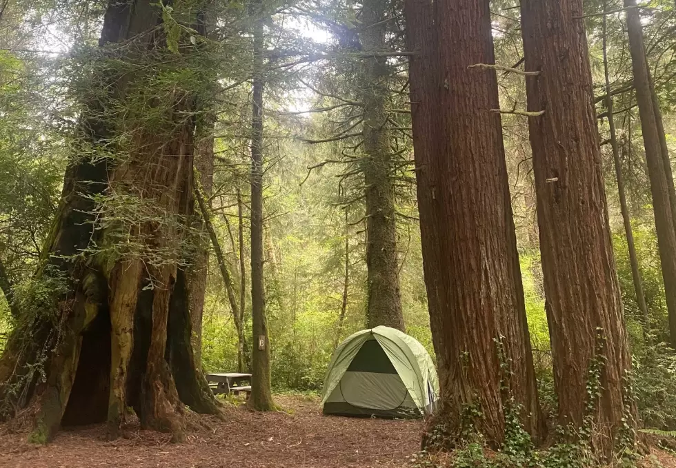 USA camping trips
