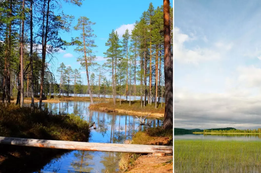 camping travel guide