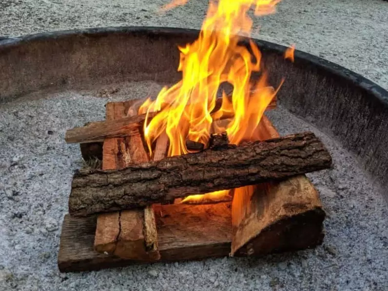 how to identify seasoned firewood