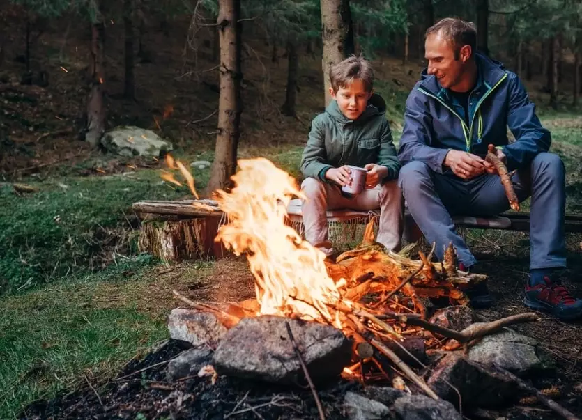 The Complete Guide to Camping Firewood: Selection, Safety, and Sustainability