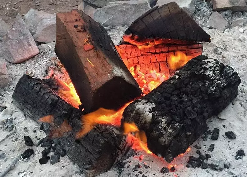 how to identify seasoned firewood