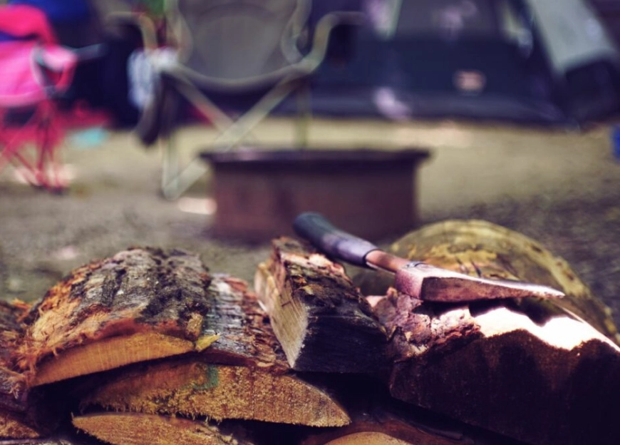 how to identify seasoned firewood