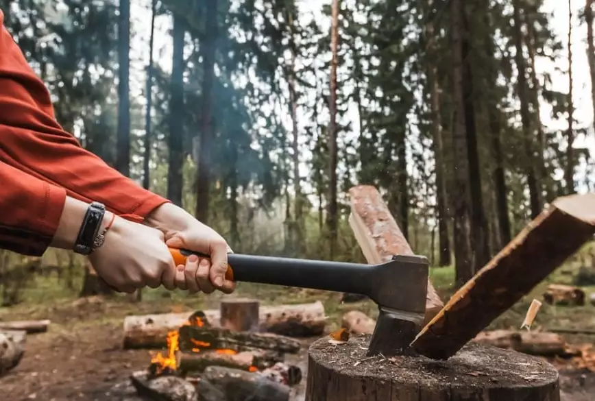 best firewood for camping