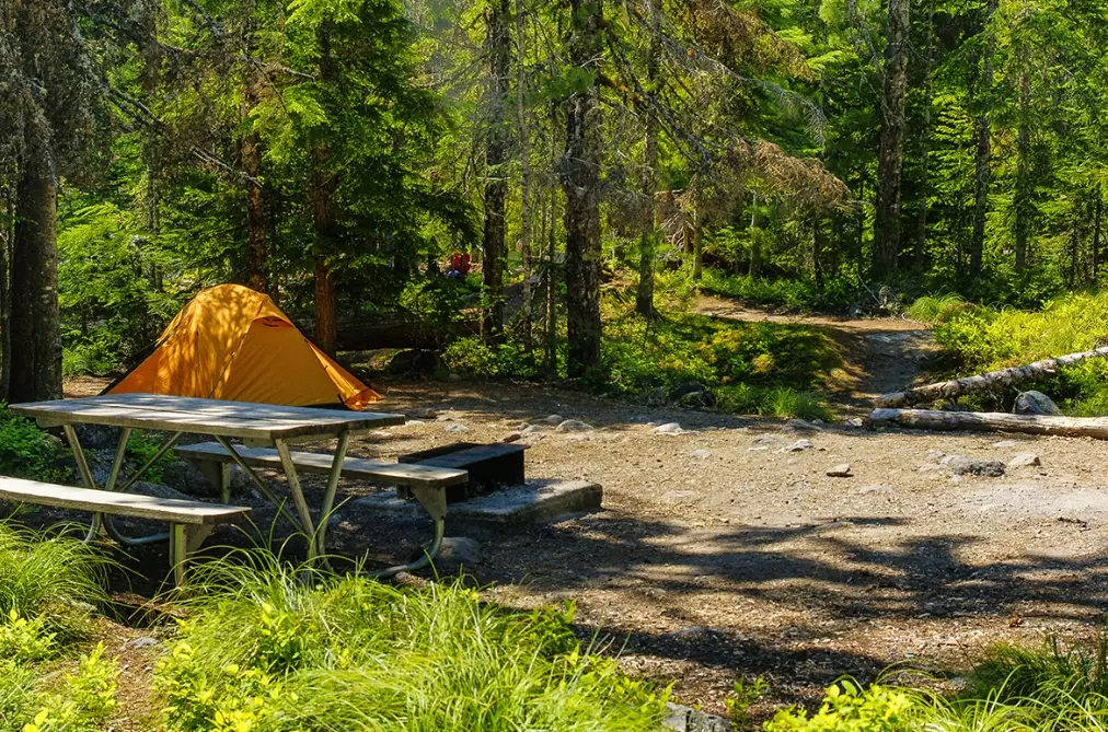 Olympic National Park camping