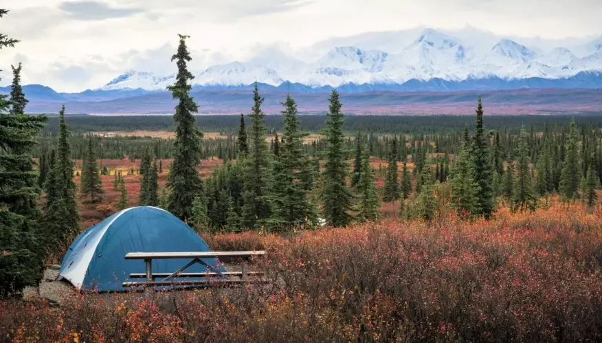 Alaska national parks camping