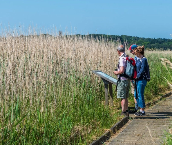 bird watching camping trips