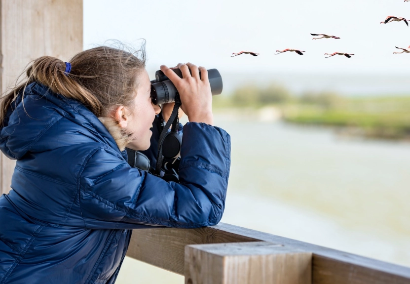 best binoculars for birding