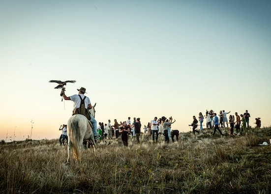 bird watching camping trips